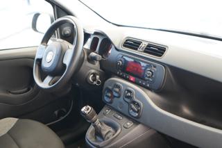 FIAT Panda usata 24