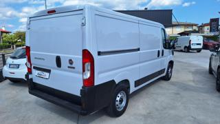 FIAT Ducato usata 11