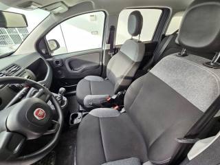 FIAT Panda usata, con Fendinebbia