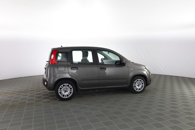 FIAT Panda usata 2
