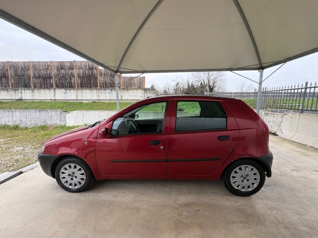 FIAT Punto usata, con Chiusura centralizzata