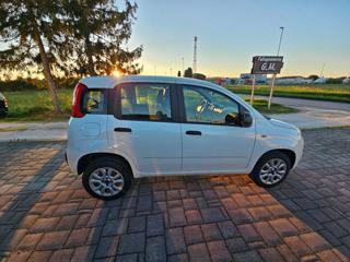 FIAT Panda usata, con Boardcomputer