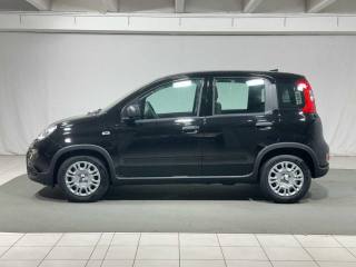 FIAT Panda usata, con Airbag