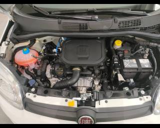 FIAT Panda usata 24