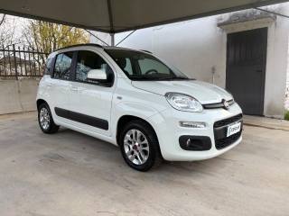 FIAT Panda usata, con Airbag Passeggero
