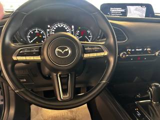 MAZDA CX-30 usata, con Cronologia tagliandi
