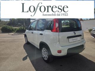 FIAT Panda usata, con Airbag Passeggero