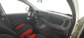 FIAT Panda usata 32