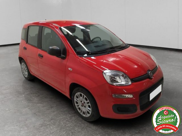 FIAT Panda usata, con Airbag Passeggero