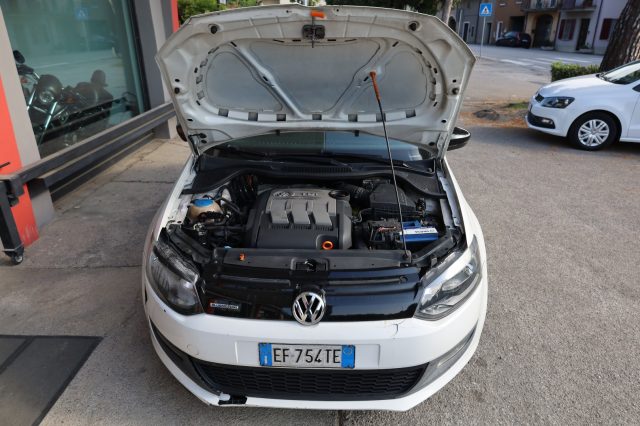 VOLKSWAGEN Polo usata 73