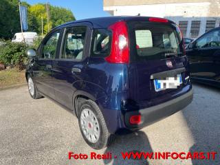 FIAT Panda usata, con Alzacristalli elettrici