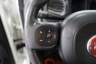 FIAT Panda usata 39