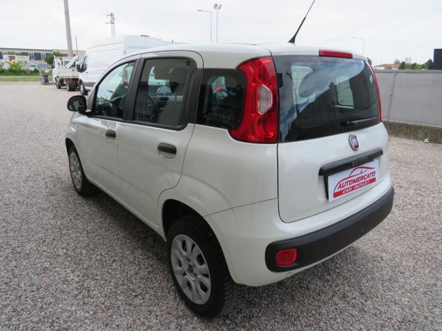 FIAT Panda usata 16