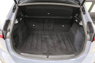 BMW 218 usata, con Bracciolo