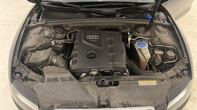 AUDI A5 usata, con Airbag testa