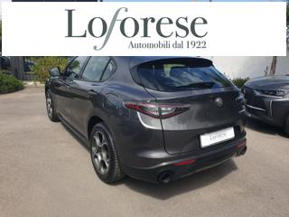 ALFA ROMEO Stelvio usata, con Fendinebbia