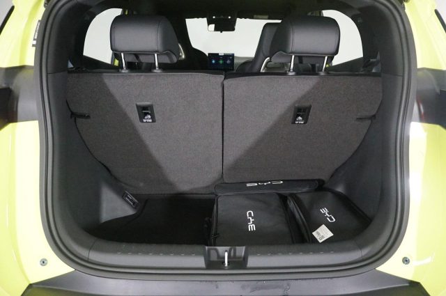 BYD Dolphin usata, con Interni in pelle