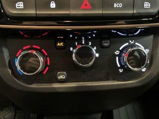 DACIA Spring usata 18