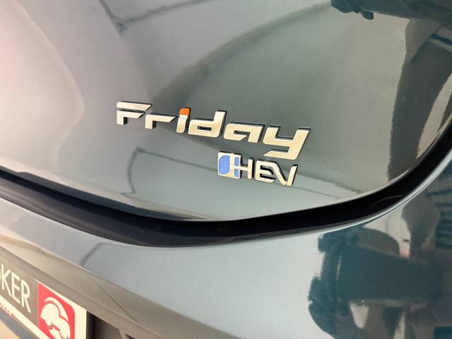 FORTHING Friday HEV usata, con Autoradio