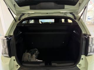 FIAT Grande Panda usata, con Controllo vocale