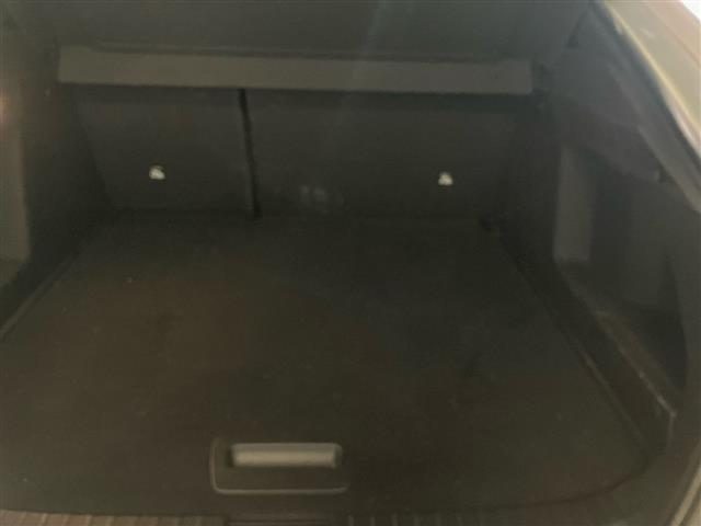 RENAULT Arkana usata, con Sensore di pioggia