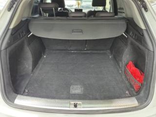 AUDI Q5 usata, con Fendinebbia