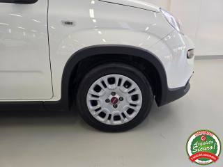 FIAT Panda usata 26