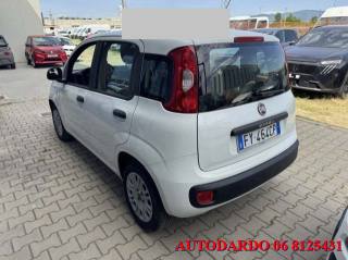 FIAT Panda usata, con Controllo trazione