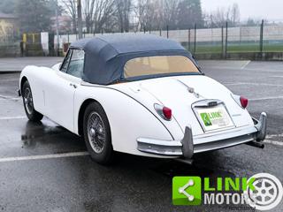 JAGUAR XK usata 4