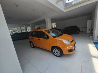 FIAT Panda usata, con Climatizzatore