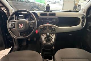 FIAT Panda usata, con Fendinebbia