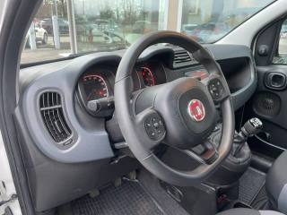 FIAT Panda usata, con ESP