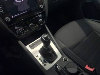 SKODA Octavia usata, con Controllo trazione