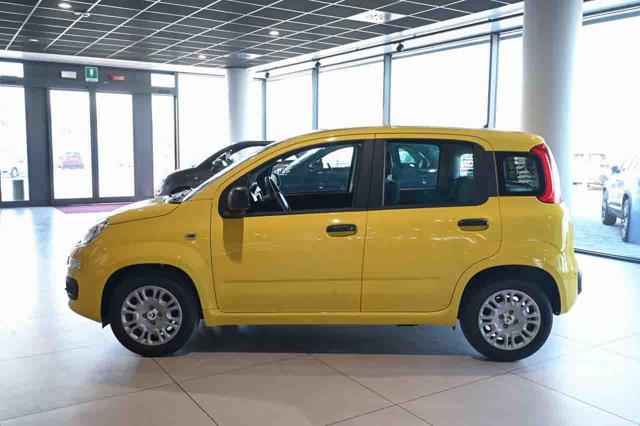 FIAT Panda usata, con USB