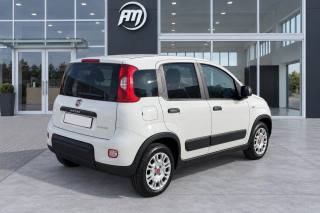 FIAT Panda usata, con Airbag Passeggero