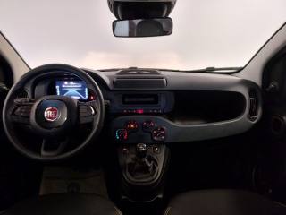 FIAT Panda usata, con Volante multifunzione