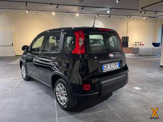 FIAT Panda usata, con Controllo trazione