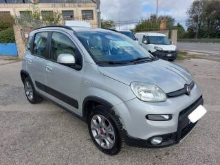 FIAT Panda usata 2