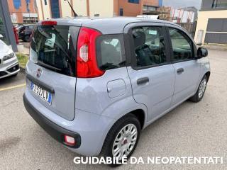 FIAT Panda usata, con Airbag