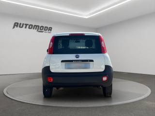 FIAT Panda usata, con Controllo trazione