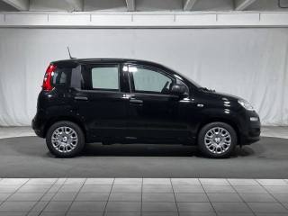 FIAT Panda usata, con Climatizzatore