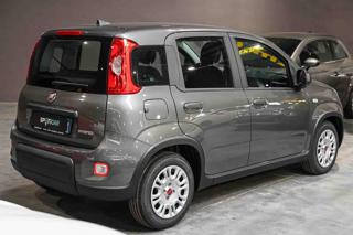 FIAT Panda usata, con Antifurto