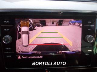 VOLKSWAGEN Passat Variant usata, con Park Distance Control
