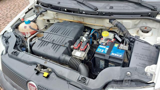 FIAT Panda usata 18