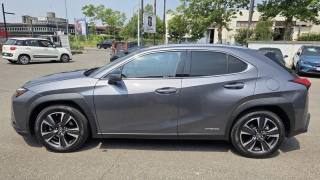 LEXUS UX 250h usata, con Airbag laterali