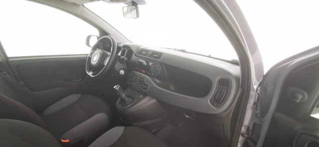 FIAT Panda usata 37