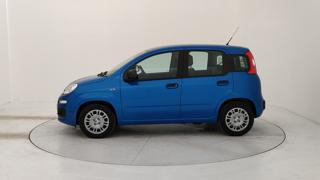 FIAT Panda usata, con Airbag