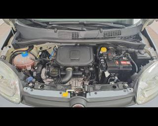 FIAT New Panda usata 17