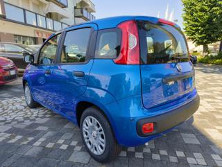 FIAT Panda usata, con Airbag Passeggero