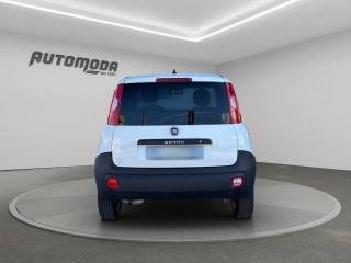 FIAT Panda usata, con Alzacristalli elettrici